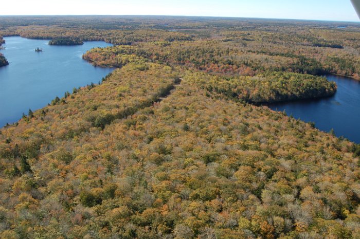Immobilien Kanada Flug Four Island Lake Oktober 2013 (23)